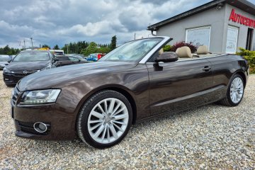 Cabrio / Brązowa Perła / Alufelgi / Alcantara / Jasny Środek / El Dach