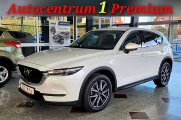 2.0 Benzyna 160 km. led xenon Nawigacja Kamera 4x4 Revolution